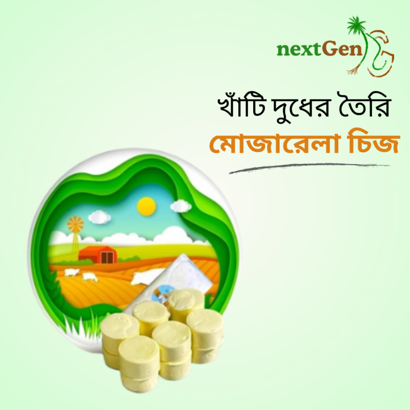 Best Mozzarella cheese in bangladesh